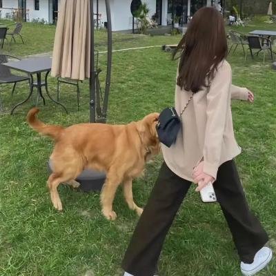 护宝风云